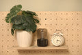 Tulai — Shelf Long Narrow