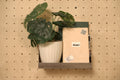 Tulai — Shelf Long Narrow with Fiddle